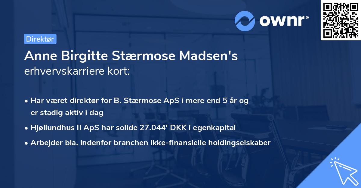Anne Birgitte Stærmose Madsen's erhvervskarriere kort