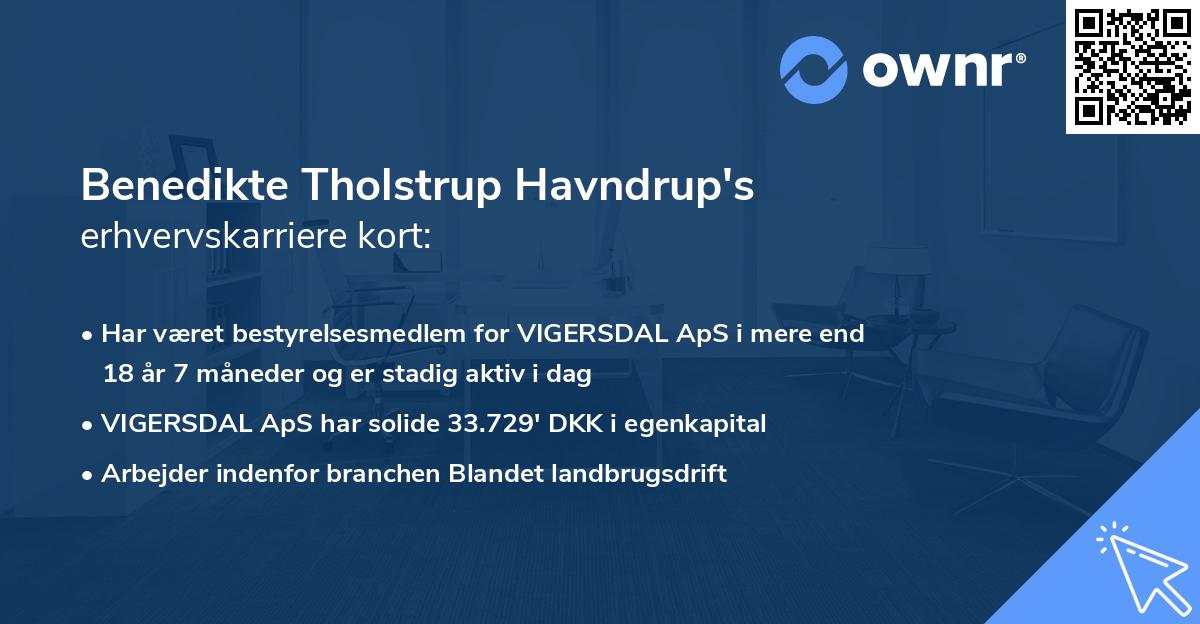 Benedikte Tholstrup Havndrup's erhvervskarriere kort