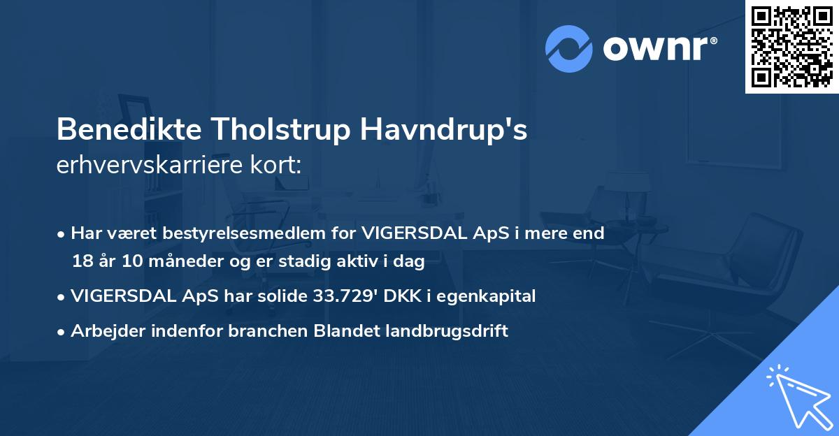 Benedikte Tholstrup Havndrup's erhvervskarriere kort