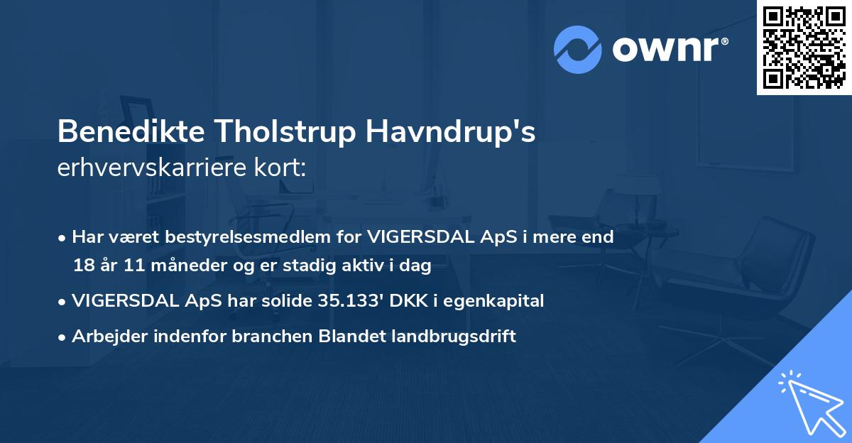 Benedikte Tholstrup Havndrup's erhvervskarriere kort