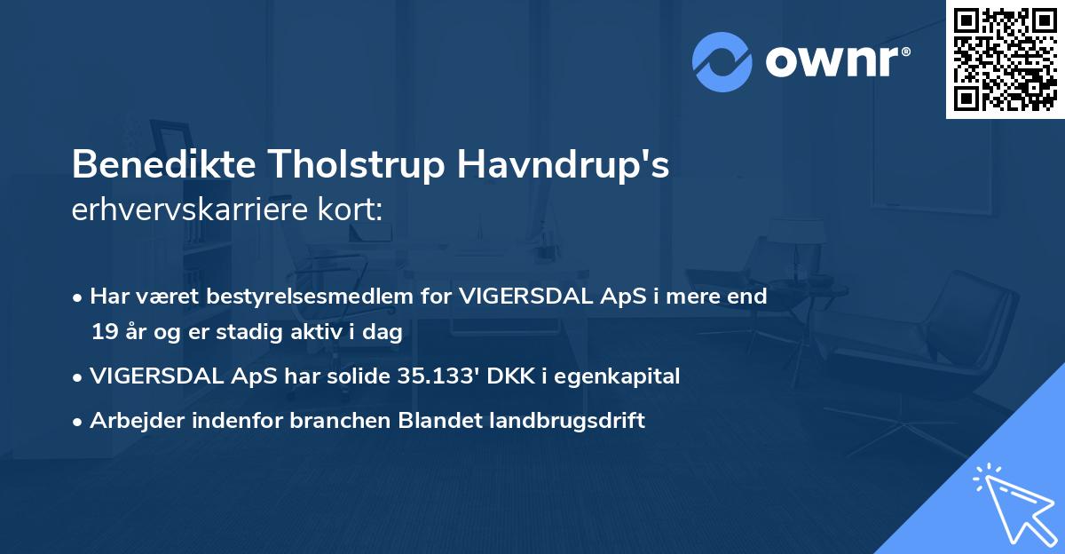 Benedikte Tholstrup Havndrup's erhvervskarriere kort