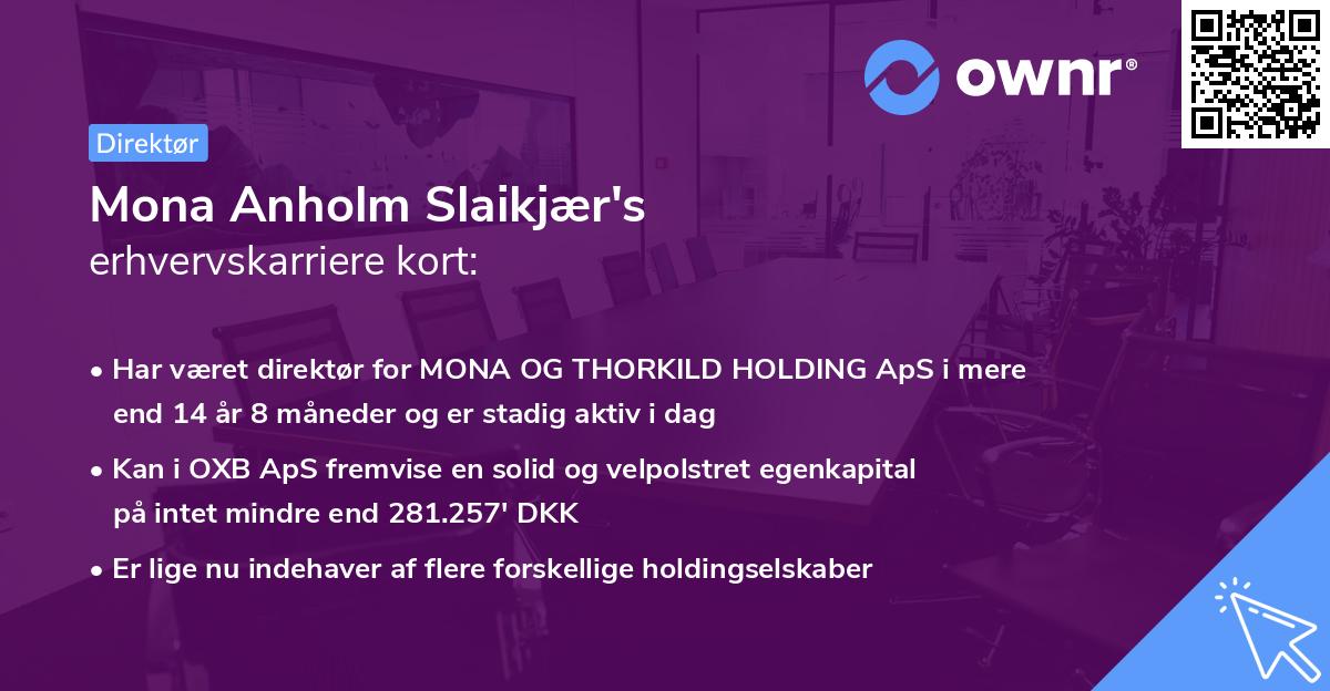 Mona Anholm Slaikjær's erhvervskarriere kort