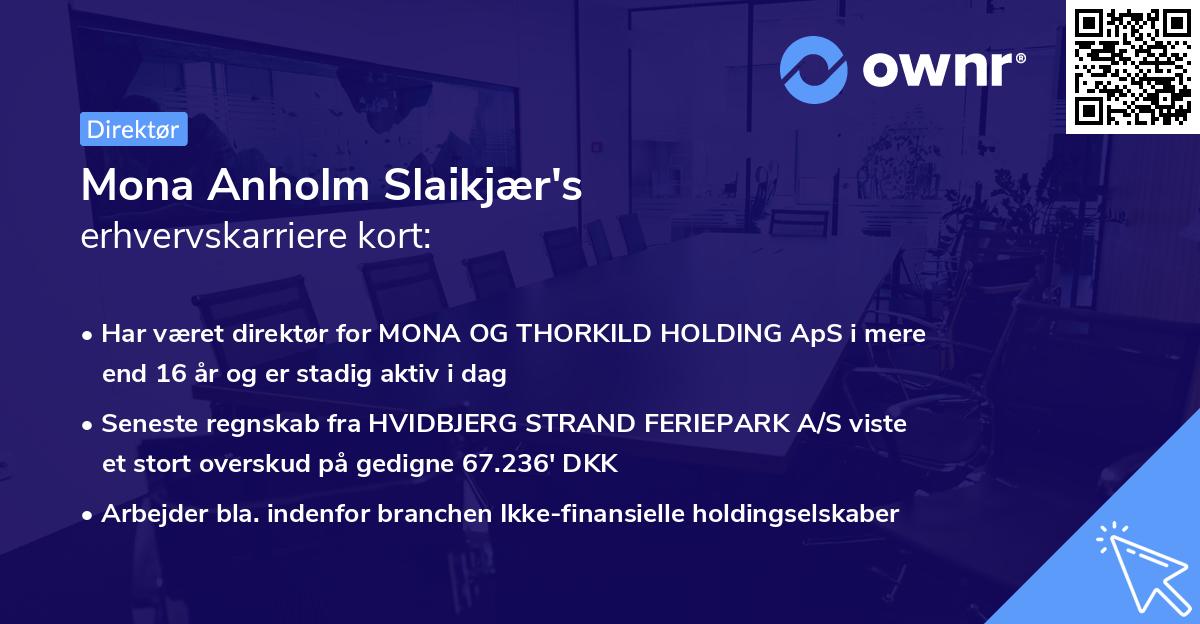 Mona Anholm Slaikjær's erhvervskarriere kort