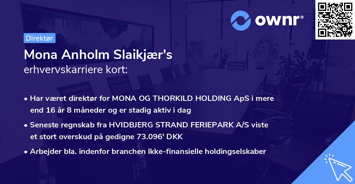 Mona Anholm Slaikjær's erhvervskarriere kort