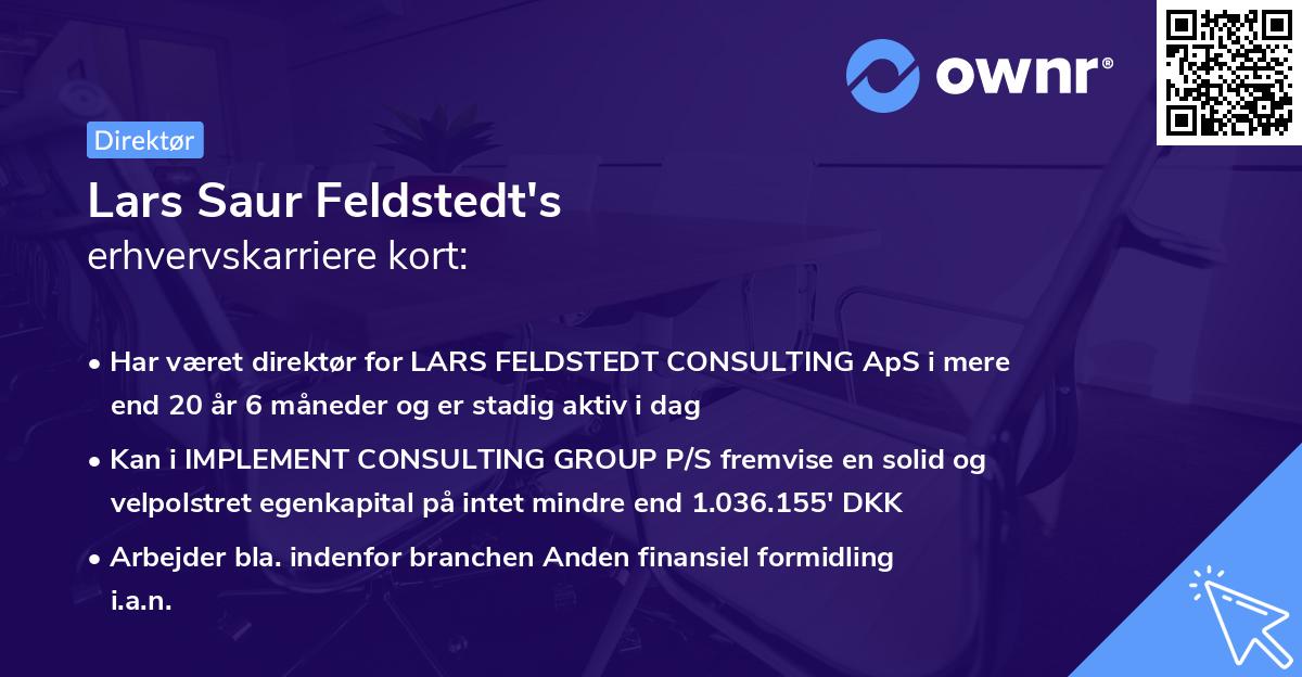 Lars Saur Feldstedt's erhvervskarriere kort