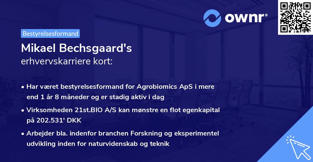 Mikael Bechsgaard's erhvervskarriere kort