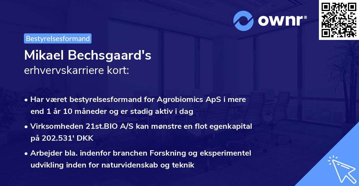 Mikael Bechsgaard's erhvervskarriere kort