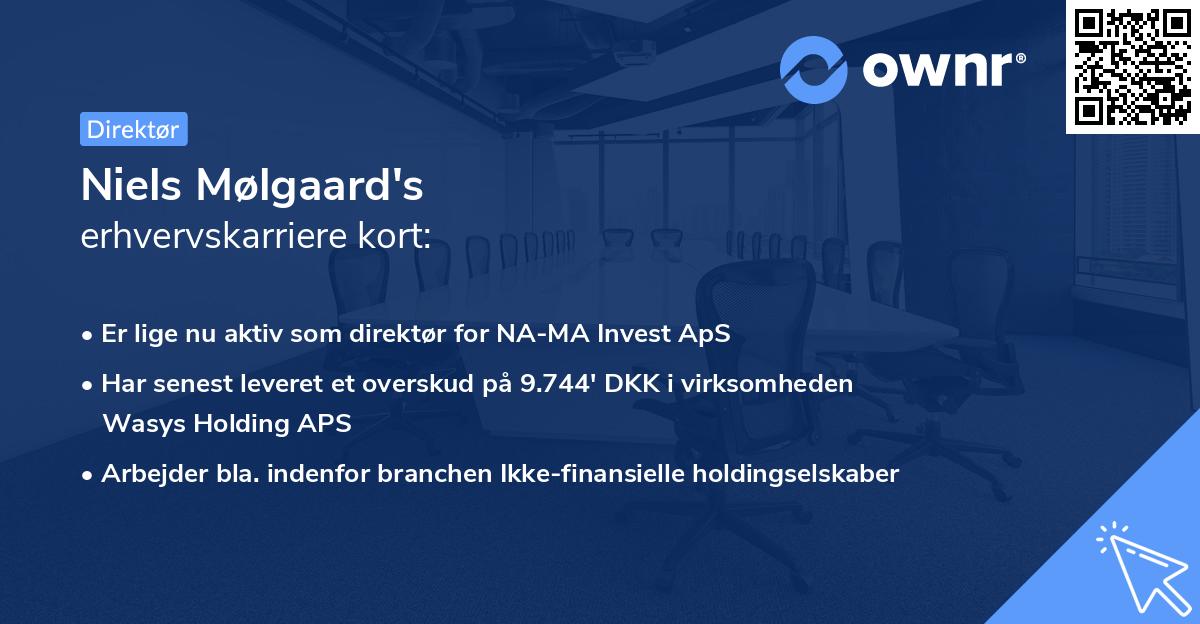 Niels Mølgaard's erhvervskarriere kort