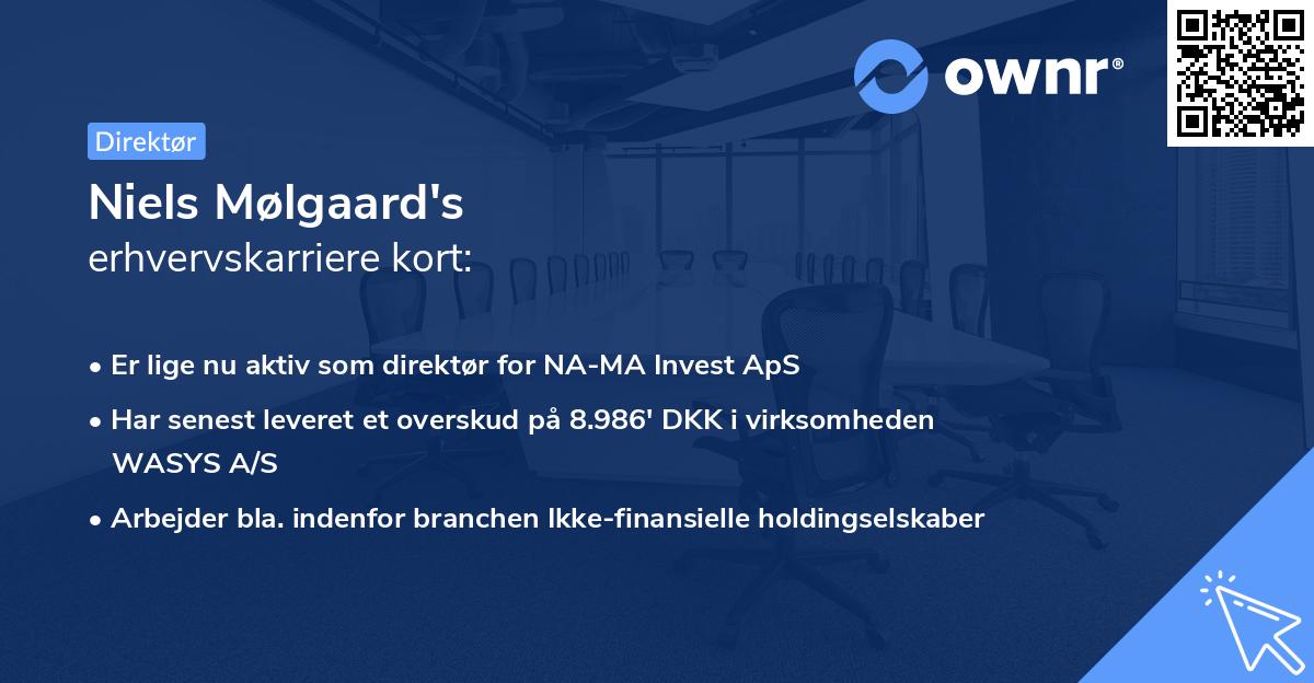 Niels Mølgaard's erhvervskarriere kort