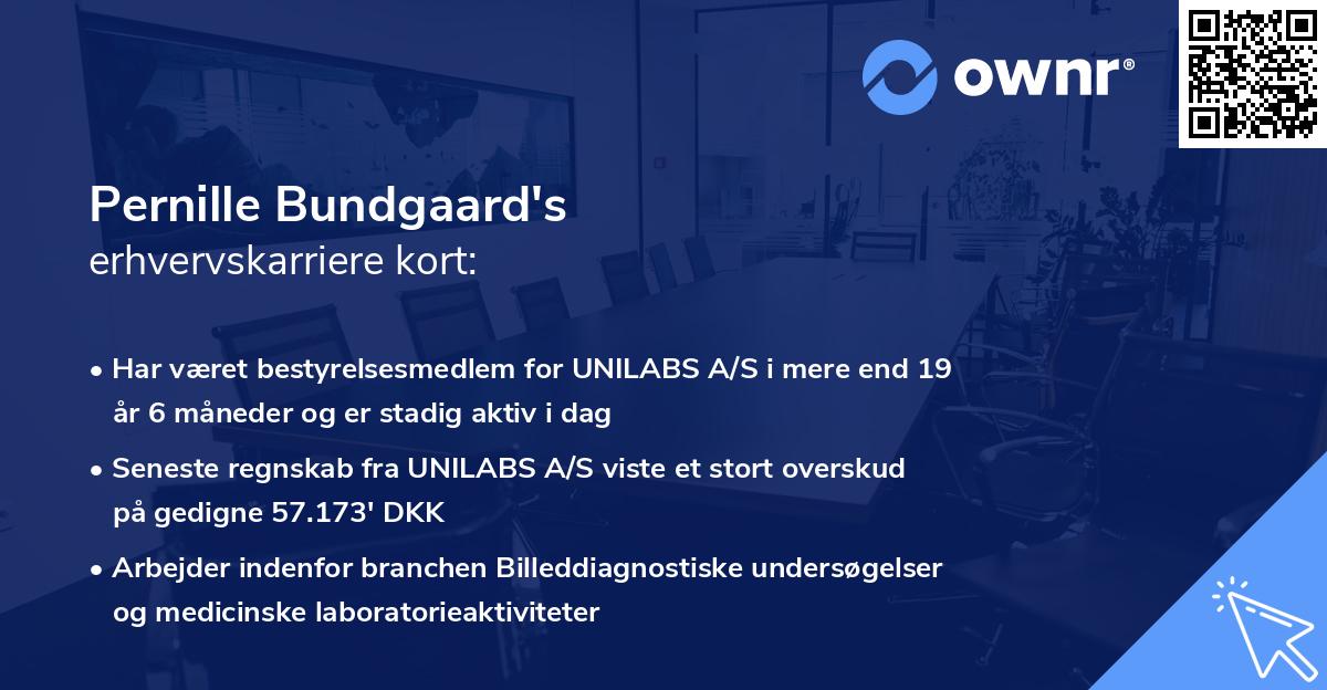 Pernille Bundgaard's erhvervskarriere kort