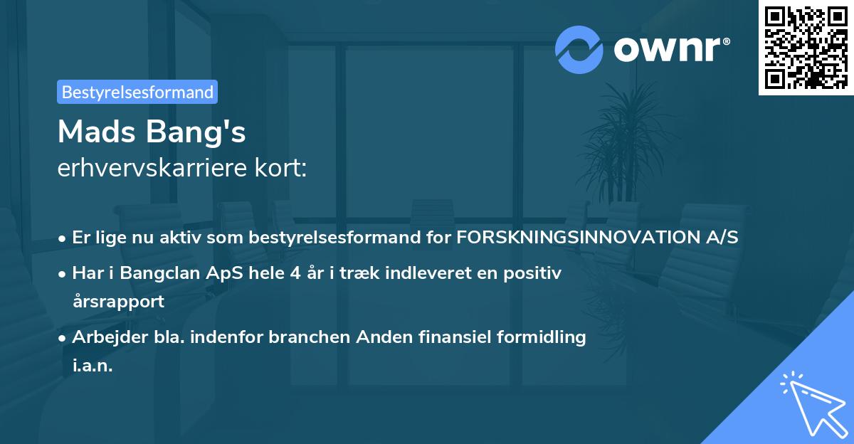 Mads Bang's erhvervskarriere kort