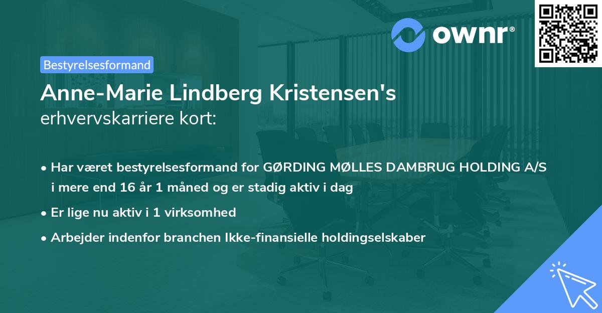 Anne-Marie Lindberg Kristensen's erhvervskarriere kort