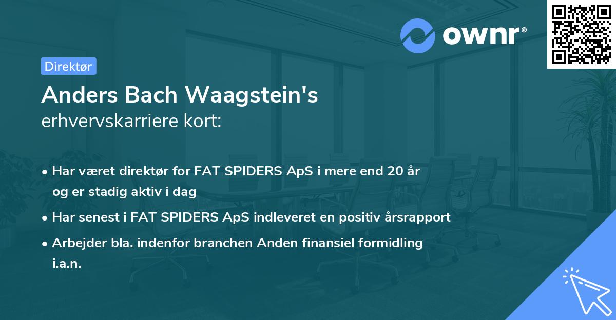 Anders Bach Waagstein's erhvervskarriere kort