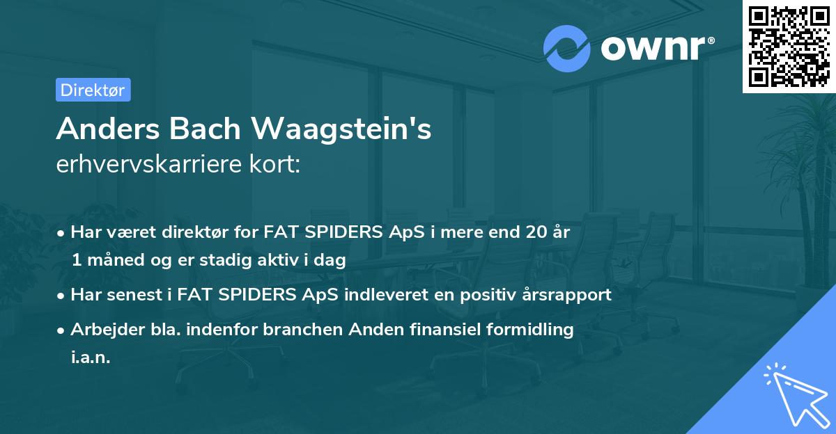 Anders Bach Waagstein's erhvervskarriere kort