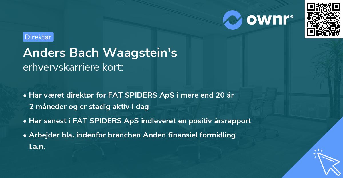 Anders Bach Waagstein's erhvervskarriere kort