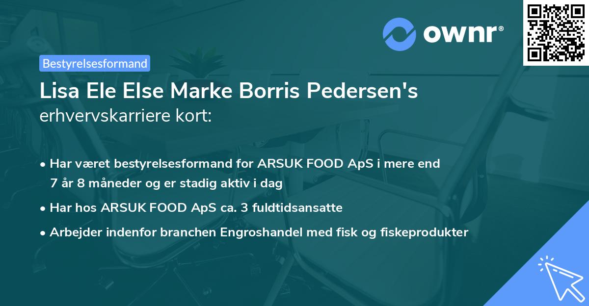 Lisa Ele Else Marke Borris Pedersen's erhvervskarriere kort