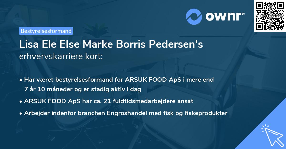 Lisa Ele Else Marke Borris Pedersen's erhvervskarriere kort