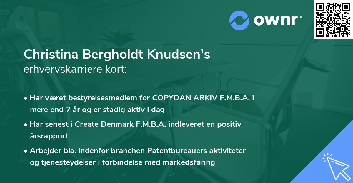 Christina Bergholdt Knudsen's erhvervskarriere kort