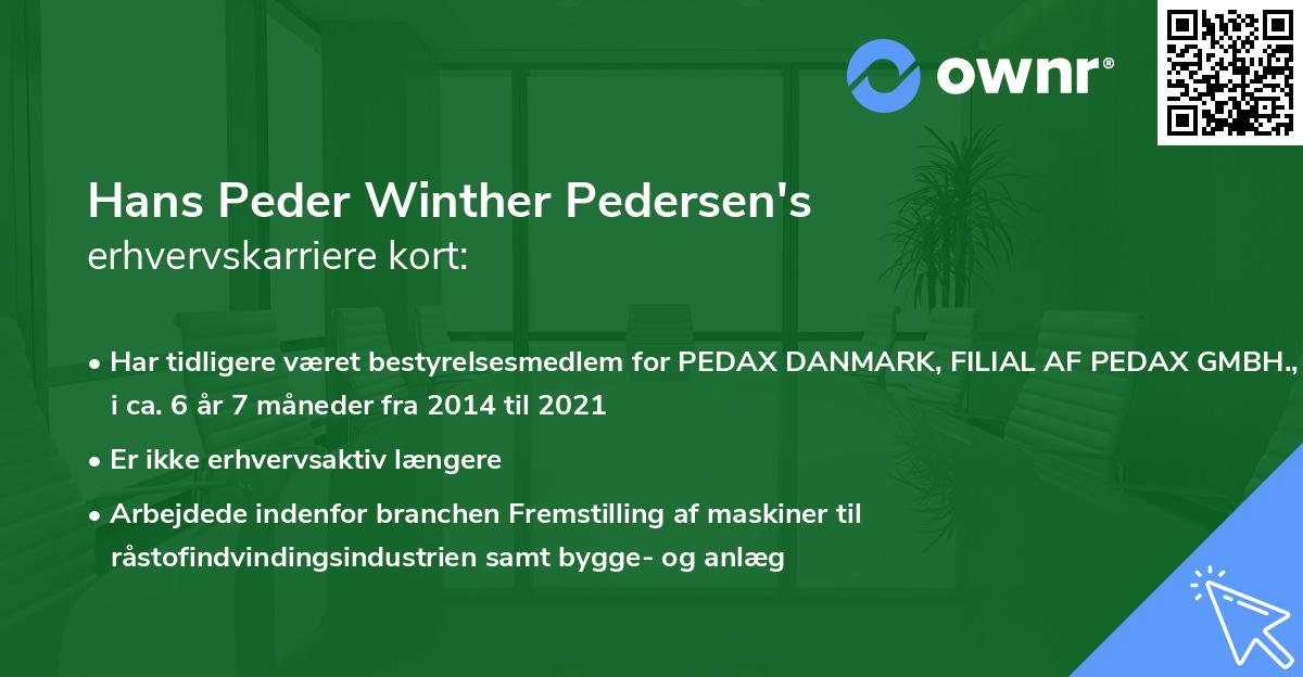 Hans Peder Winther Pedersen's erhvervskarriere kort