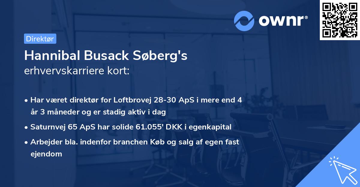 Hannibal Busack Søberg's erhvervskarriere kort