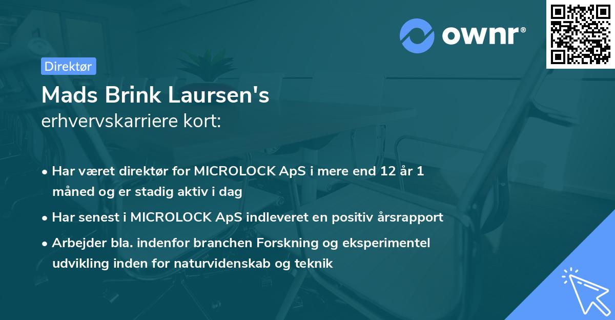 Mads Brink Laursen's erhvervskarriere kort