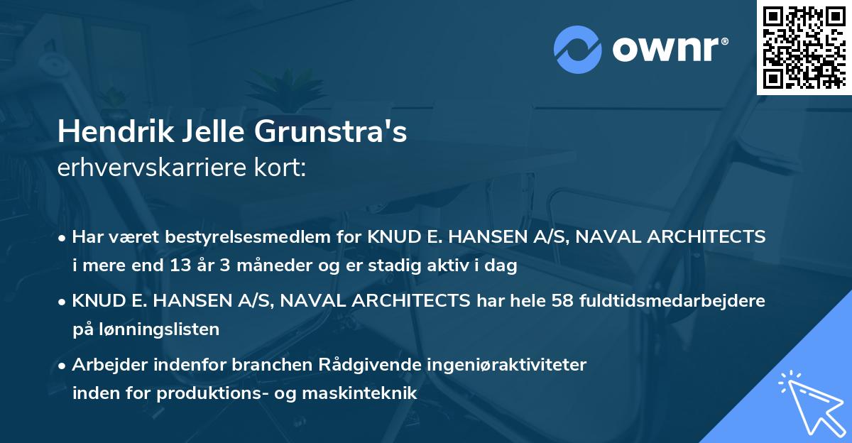 Hendrik Jelle Grunstra's erhvervskarriere kort