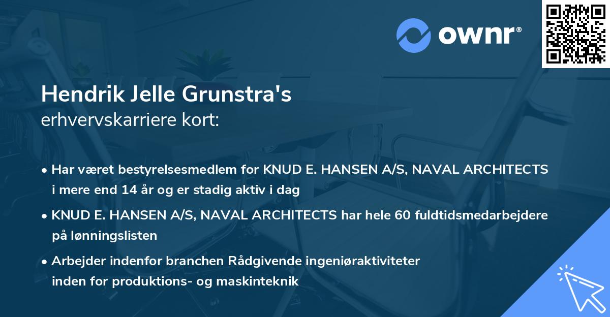 Hendrik Jelle Grunstra's erhvervskarriere kort
