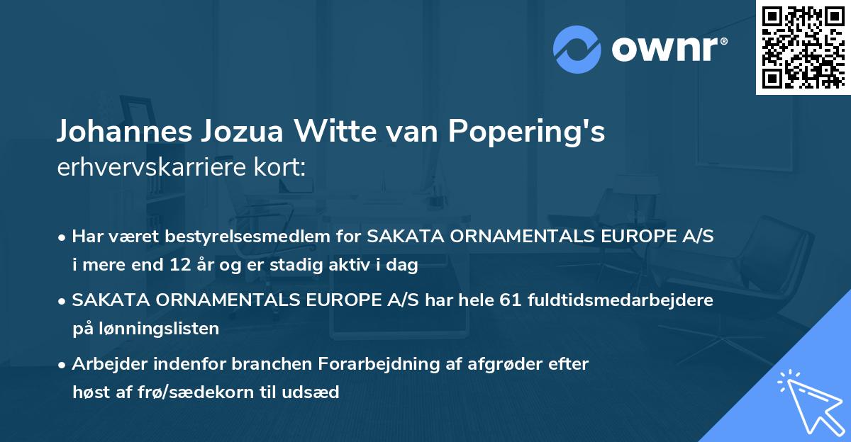 Johannes Jozua Witte van Popering's erhvervskarriere kort