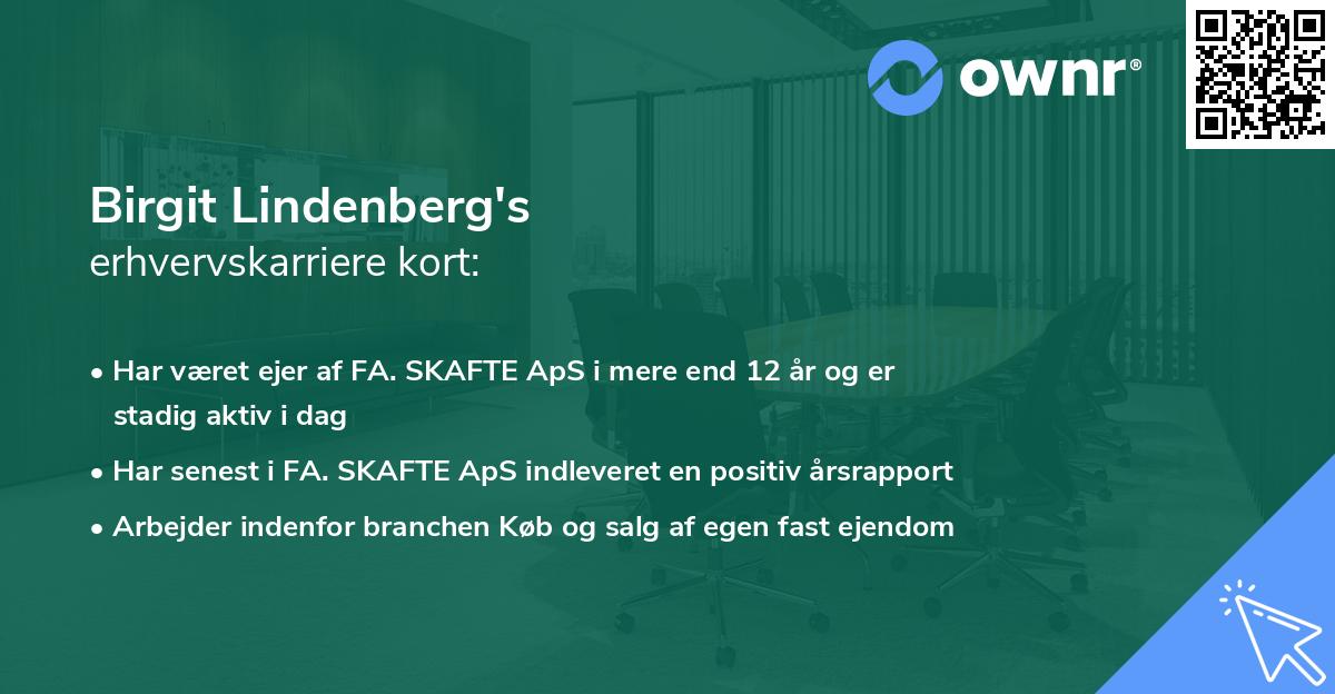 Birgit Lindenberg's erhvervskarriere kort