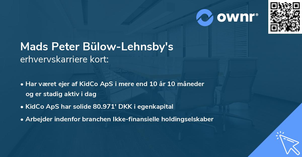 Mads Peter Bülow-Lehnsby's erhvervskarriere kort