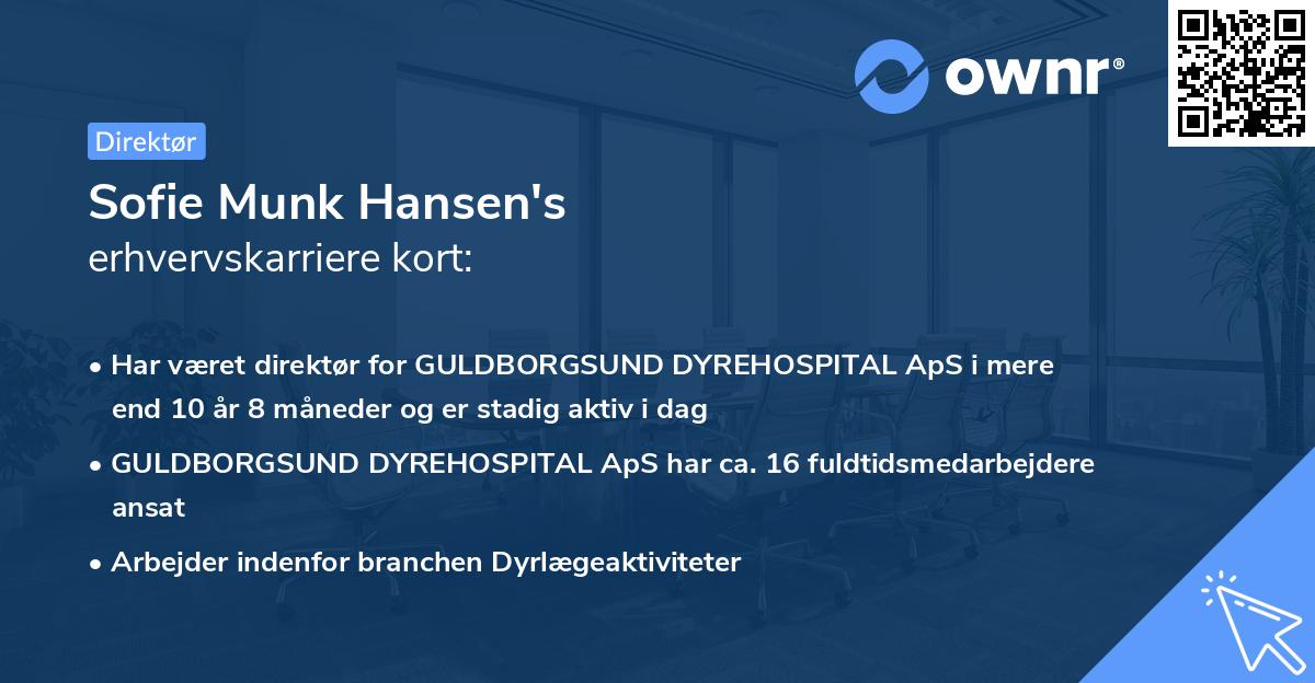 Sofie Munk Hansen's erhvervskarriere kort