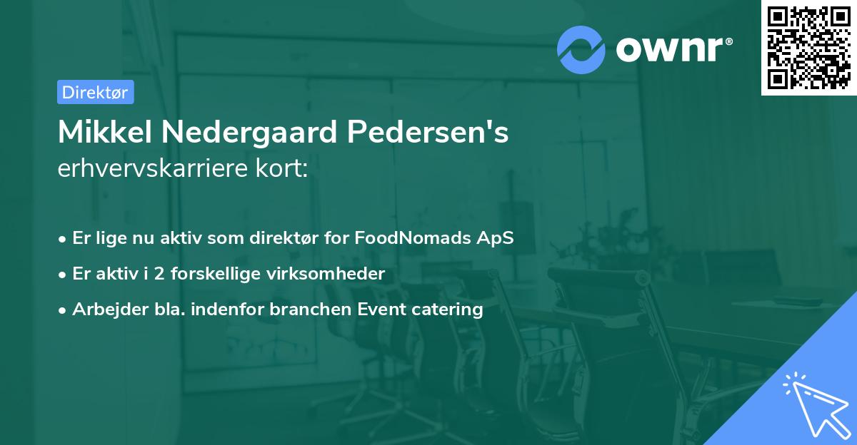 Mikkel Nedergaard Pedersen's erhvervskarriere kort