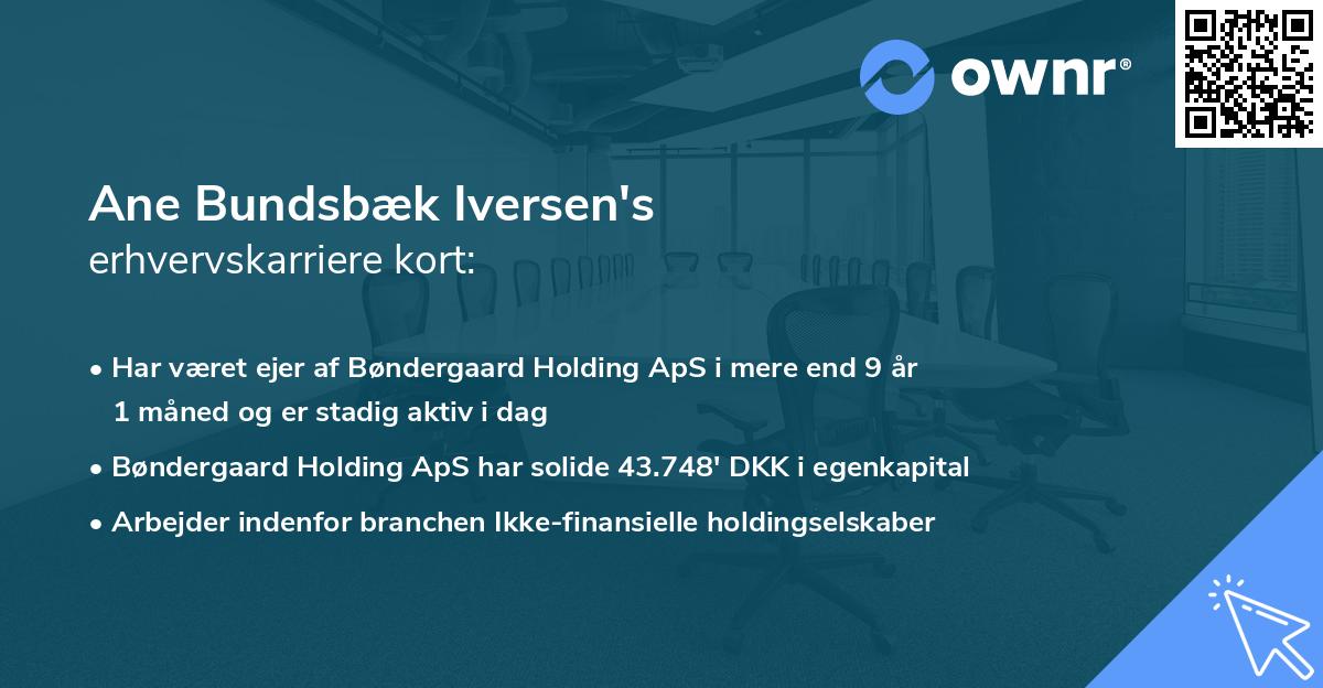 Ane Bundsbæk Iversen's erhvervskarriere kort