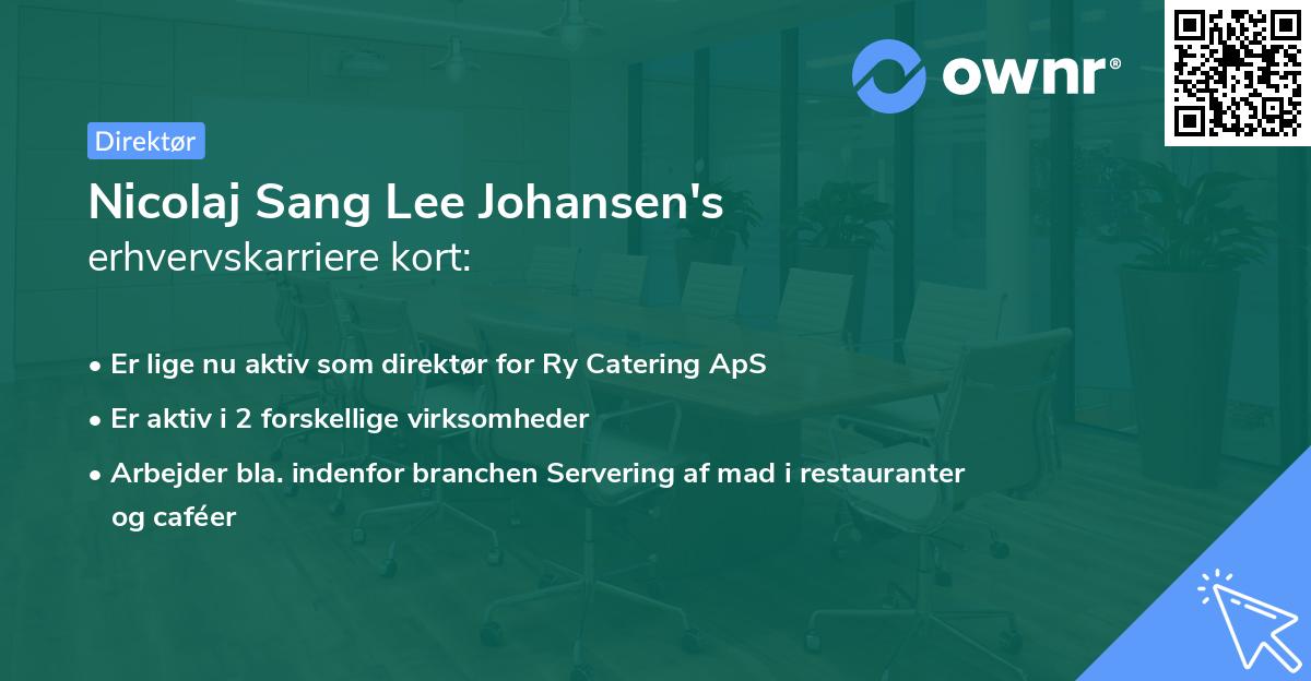 Nicolaj Sang Lee Johansen's erhvervskarriere kort