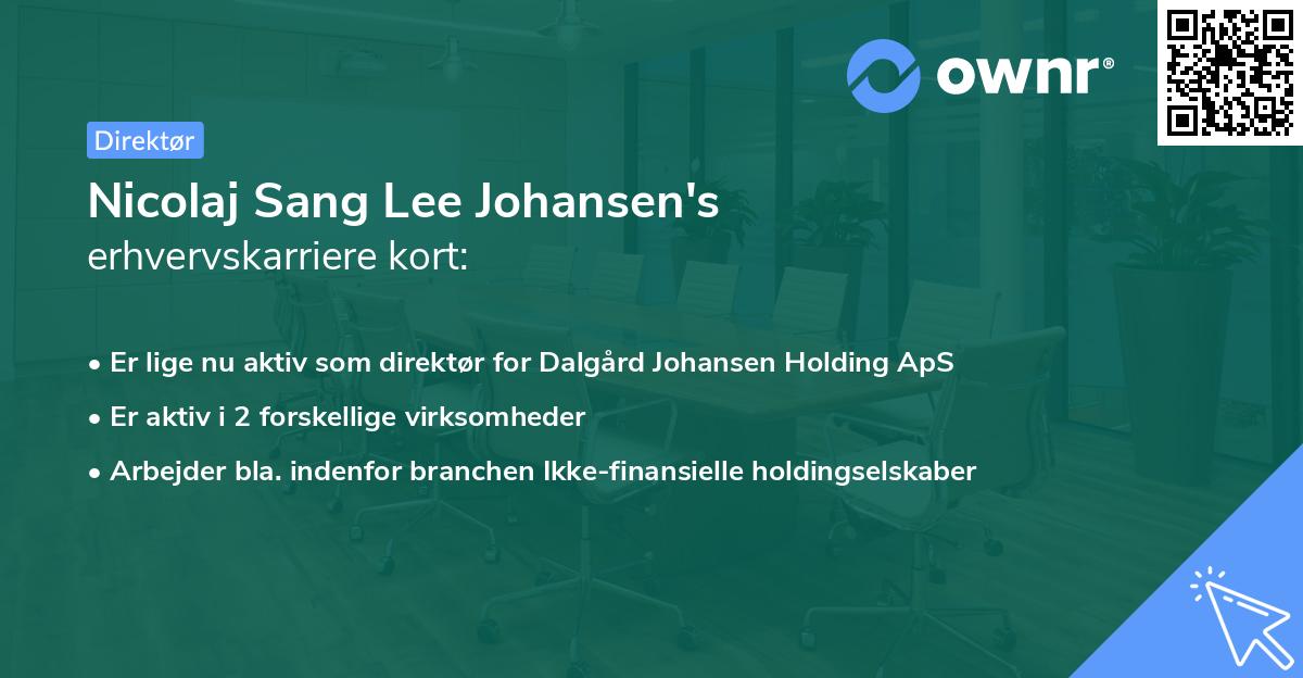 Nicolaj Sang Lee Johansen's erhvervskarriere kort