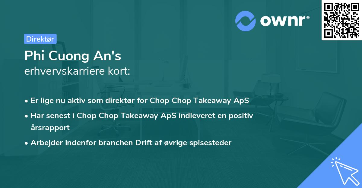 Phi Cuong An's erhvervskarriere kort