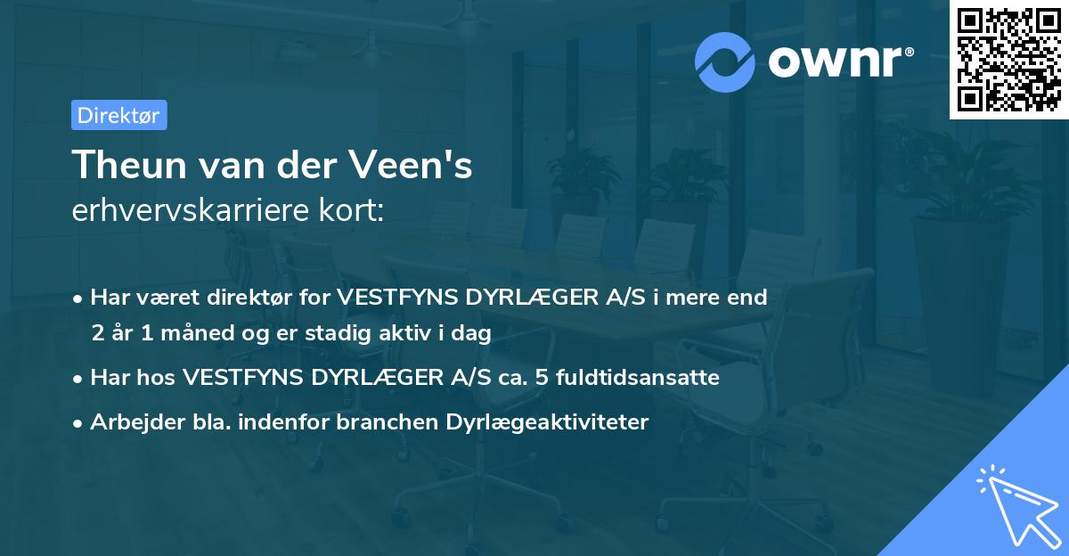 Theun van der Veen's erhvervskarriere kort