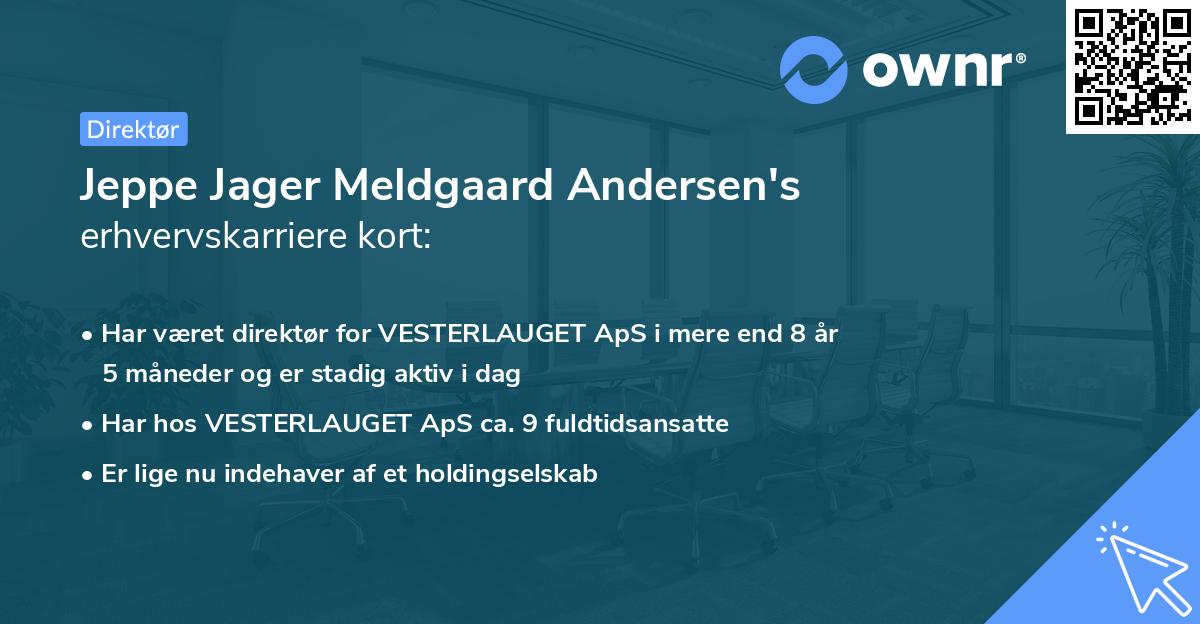 Jeppe Jager Meldgaard Andersen's erhvervskarriere kort