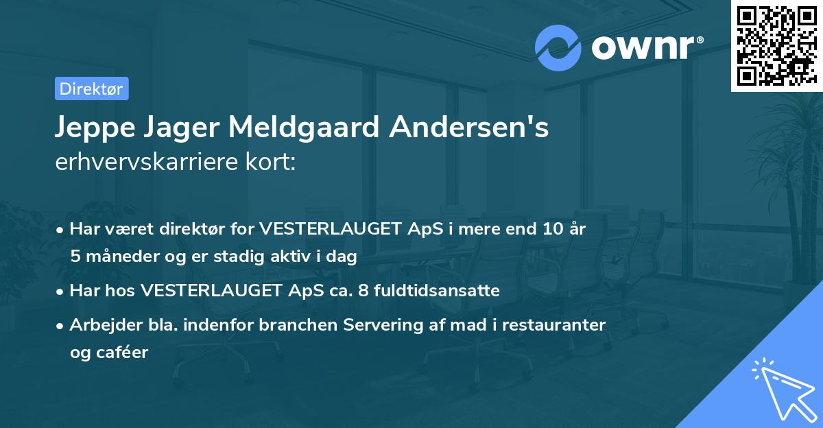 Jeppe Jager Meldgaard Andersen's erhvervskarriere kort