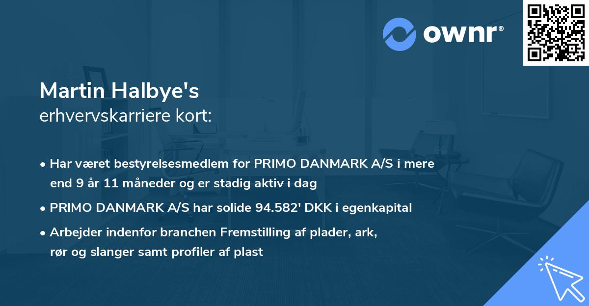 Martin Halbye's erhvervskarriere kort