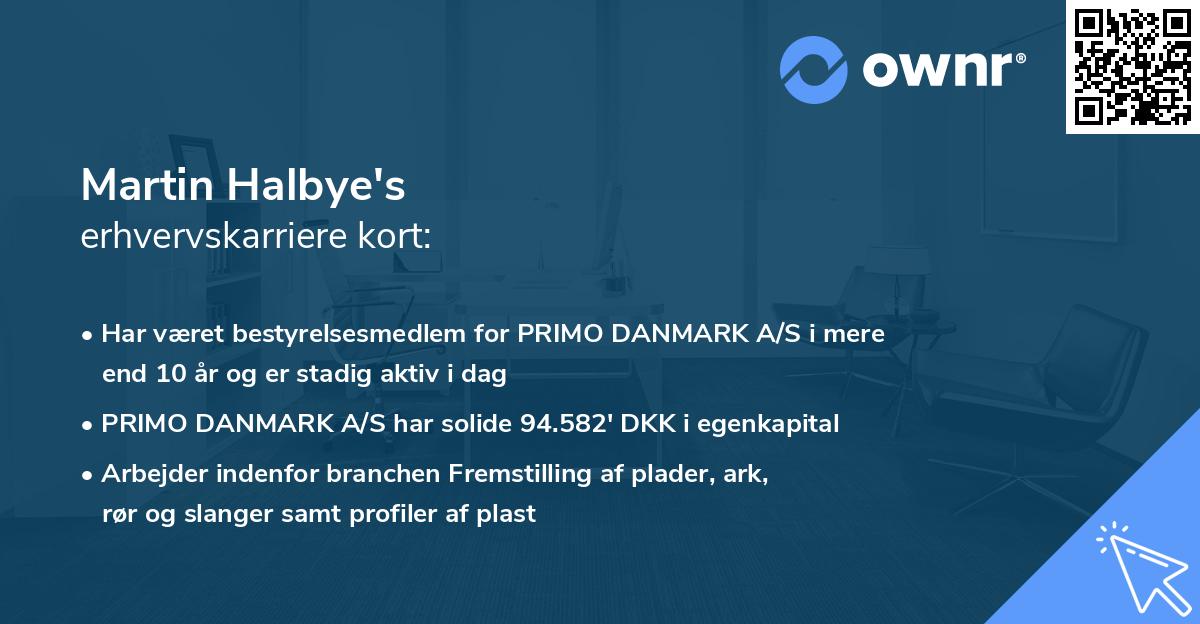 Martin Halbye's erhvervskarriere kort
