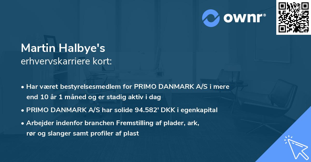 Martin Halbye's erhvervskarriere kort