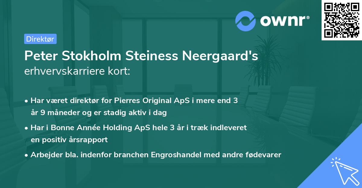 Peter Stokholm Steiness Neergaard's erhvervskarriere kort
