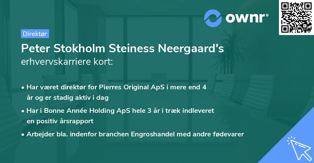 Peter Stokholm Steiness Neergaard's erhvervskarriere kort