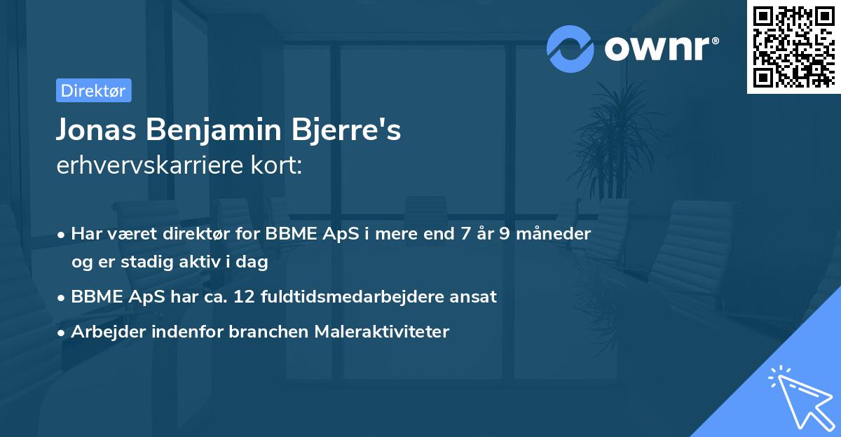 Jonas Benjamin Bjerre's erhvervskarriere kort