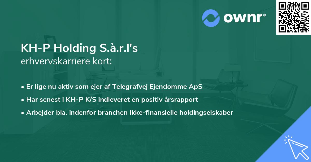KH-P Holding S.à.r.l's erhvervskarriere kort