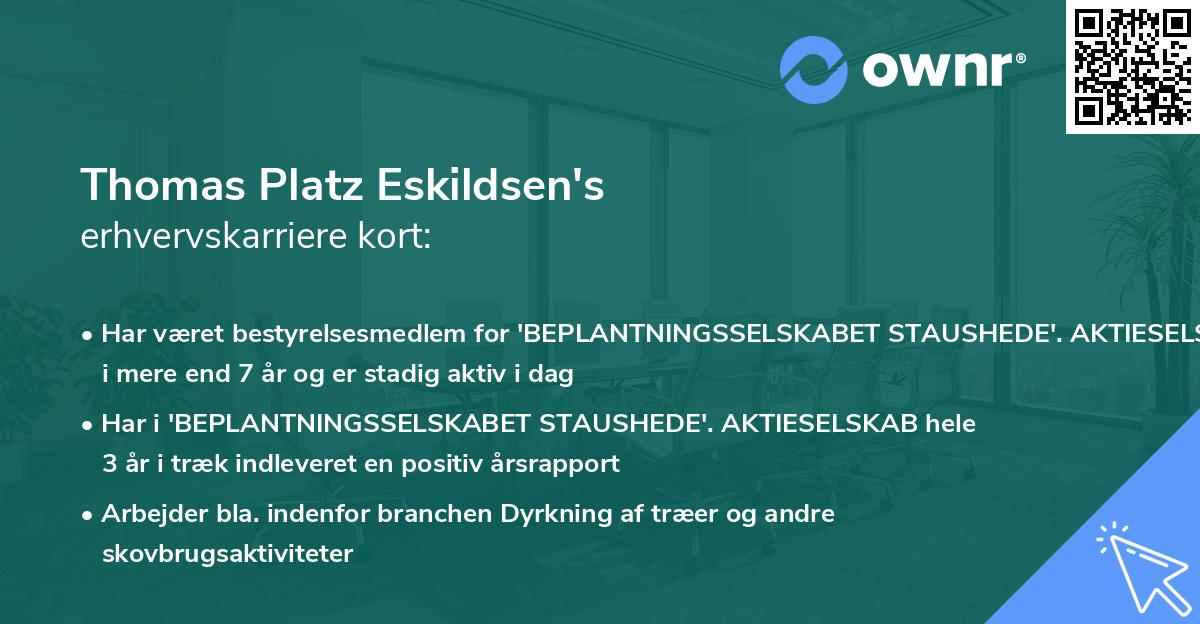 Thomas Platz Eskildsen's erhvervskarriere kort