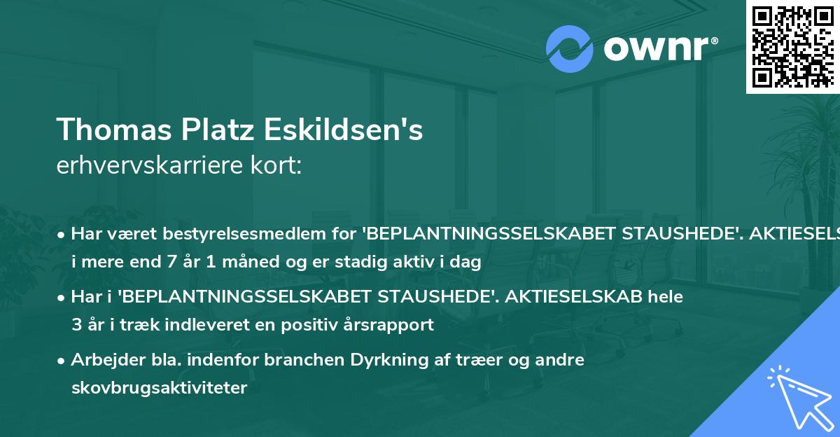 Thomas Platz Eskildsen's erhvervskarriere kort