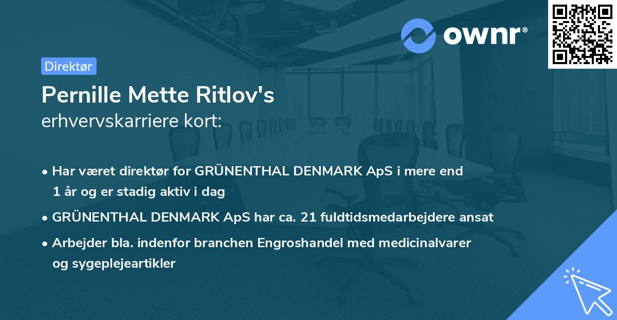 Pernille Mette Ritlov's erhvervskarriere kort