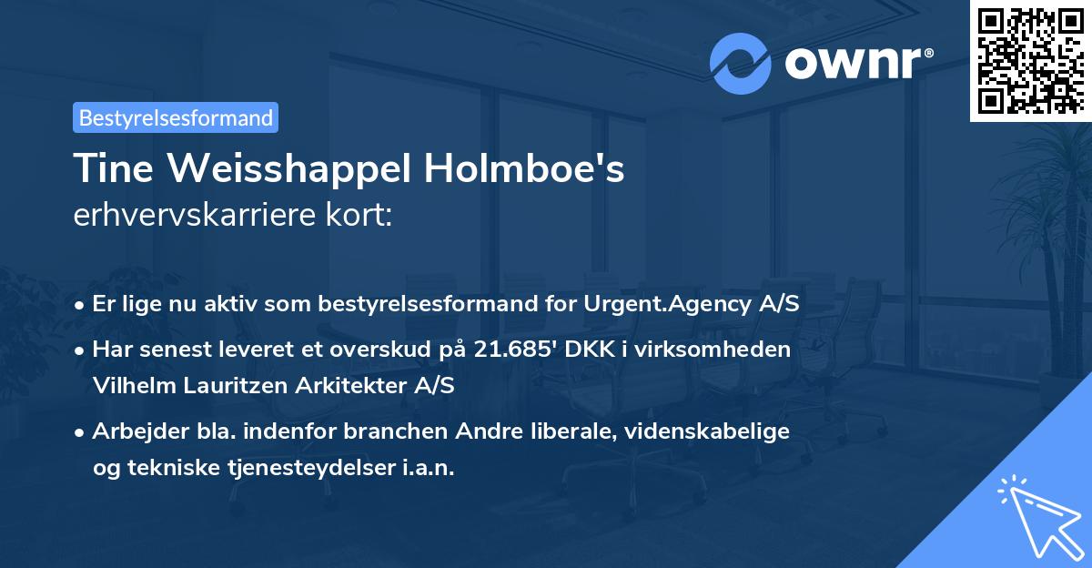 Tine Weisshappel Holmboe's erhvervskarriere kort